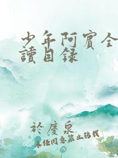 少年阿宾全文阅读目录