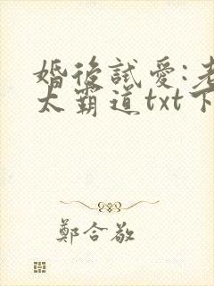 婚后试爱:老公太霸道txt下载完本