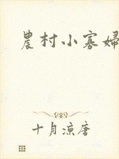 农村小寡妇小说