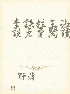 李铁柱王淑兰小说免费阅读