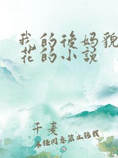 我的后妈貌美如花的小说