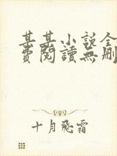 某某小说全文免费阅读无删减