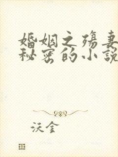 婚姻之殇妻子的秘密的小说免费阅读