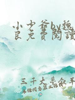 小少爷by魏丛良免费阅读全文