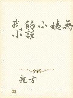 我的小姨无删减小说