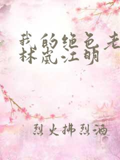 我的绝色老板娘林岚江明