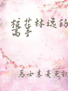 校花林逸的贴身高手