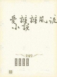 爱谁谁风流书呆 小说