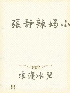 张静辣妈小说