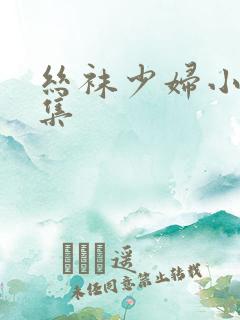丝袜少妇小说合集