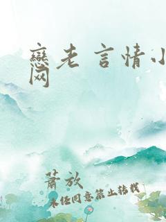 恋老 言情小说网
