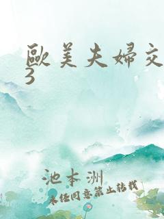 欧美夫妇交换性3