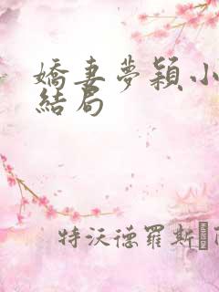 娇妻梦颖小说大结局