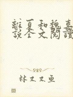离夏和魏喜的小说全文阅读