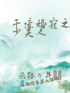 千亿婚宠之豪门少夫人