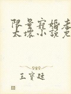 限量宠婚老公别太坏小说免费阅读