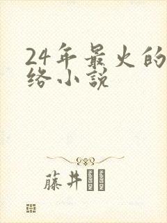 24年最火的网络小说