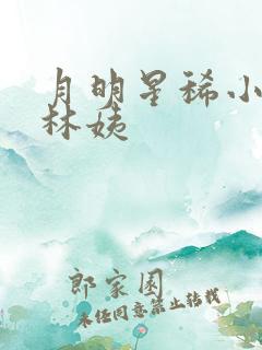 月明星稀小志与林姨