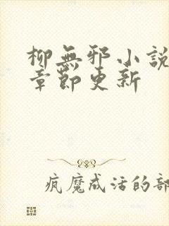 柳无邪小说最新章节更新