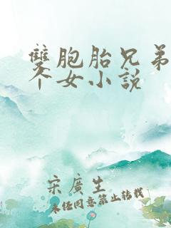 双胞胎兄弟和一个女小说