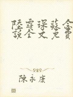陆霆琛苏念的小说全文免费阅读