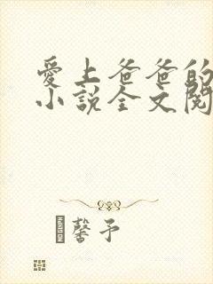 爱上爸爸的女儿小说全文阅读