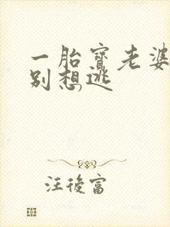 一胎宝老婆大人别想逃