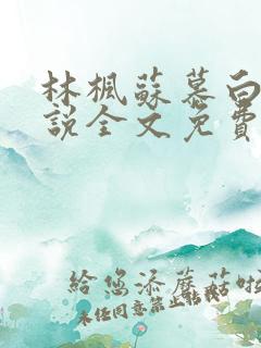 林枫苏慕白的小说全文免费阅读