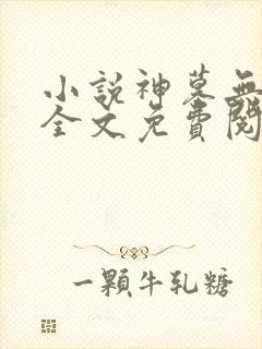 小说神墓无弹窗全文免费阅读