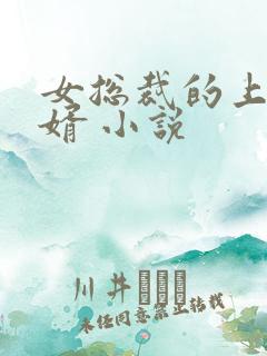 女总裁的上门女婿 小说