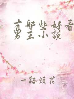 有哪些好看的双男主小说