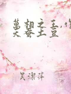 万相之王,作者天蚕土豆