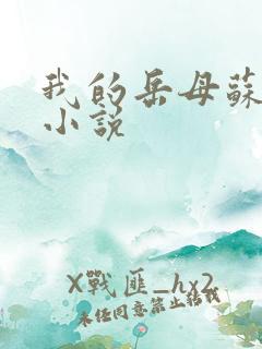 我的岳母苏沛真小说