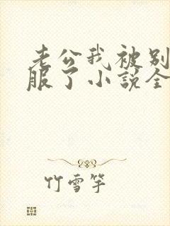 老公我被别人征服了小说全文阅读