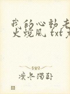 我的心动老板娘火烧风 txt免费小说