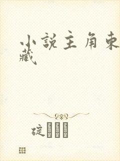 小说主角东北龙藏