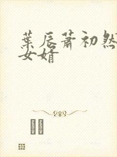 叶辰萧初然至尊女婿