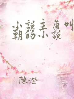 小说主角叫赵援朝的小说