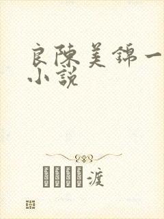 良陈美锦一样的小说