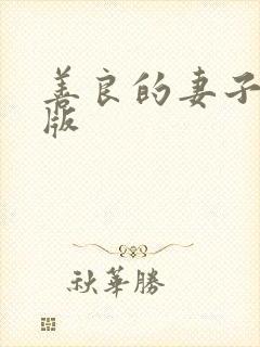 善良的妻子中文版