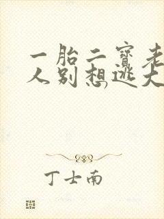 一胎二宝老婆大人别想逃大结局
