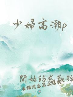 少妇高潮p
