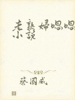 老熟妇嗯嗯啊啊小说