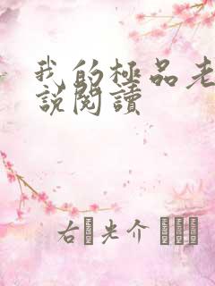 我的极品老婆小说阅读