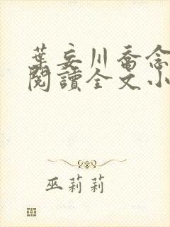 叶妄川乔念免费阅读全文小说