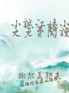小诚江姨小说全文免费阅读最新章节