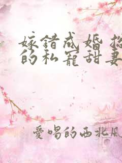 嫁错成婚 总裁的私宠甜妻