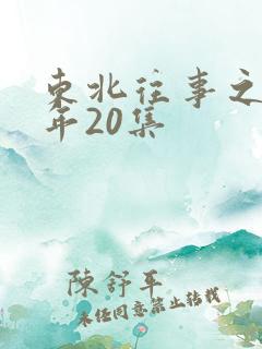东北往事之二十年20集
