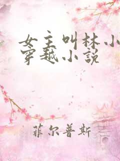 女主叫林小渔的穿越小说