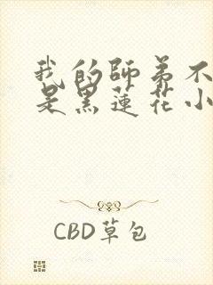 我的师弟不可能是黑莲花小说